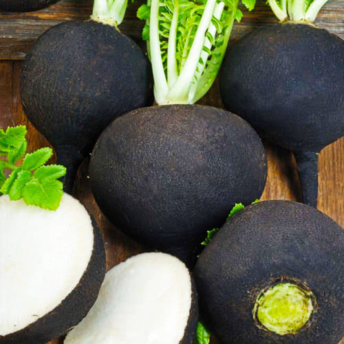 Зимняя круглая черная редька 10г